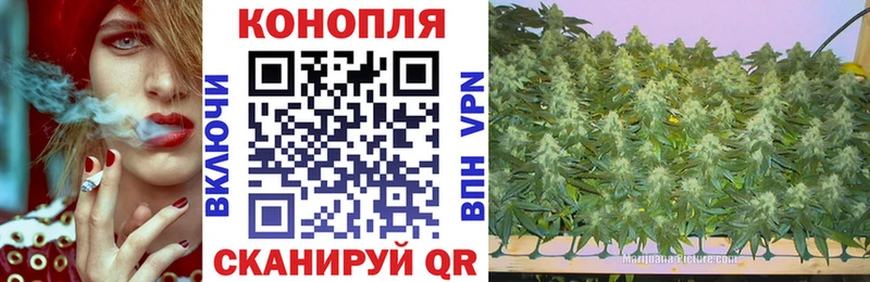 Сколько стоит Киров hydra сайт Меф мяу мяу ГАШИШ Каннабис А ПВП