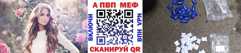 закладка Киров Alfa_PVP СК