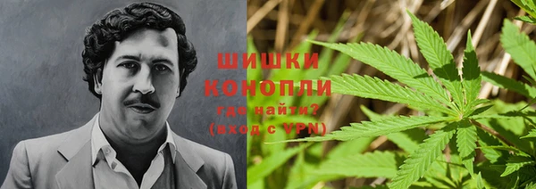 соль ск Алзамай