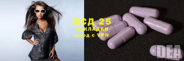 соль ск Алзамай