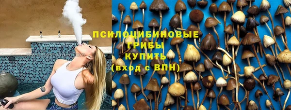спайс Горнозаводск