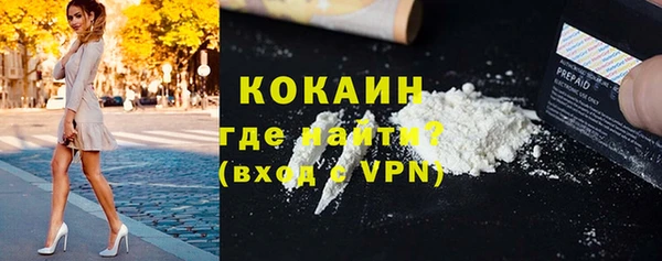 соль ск Алзамай