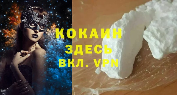 соль ск Алзамай
