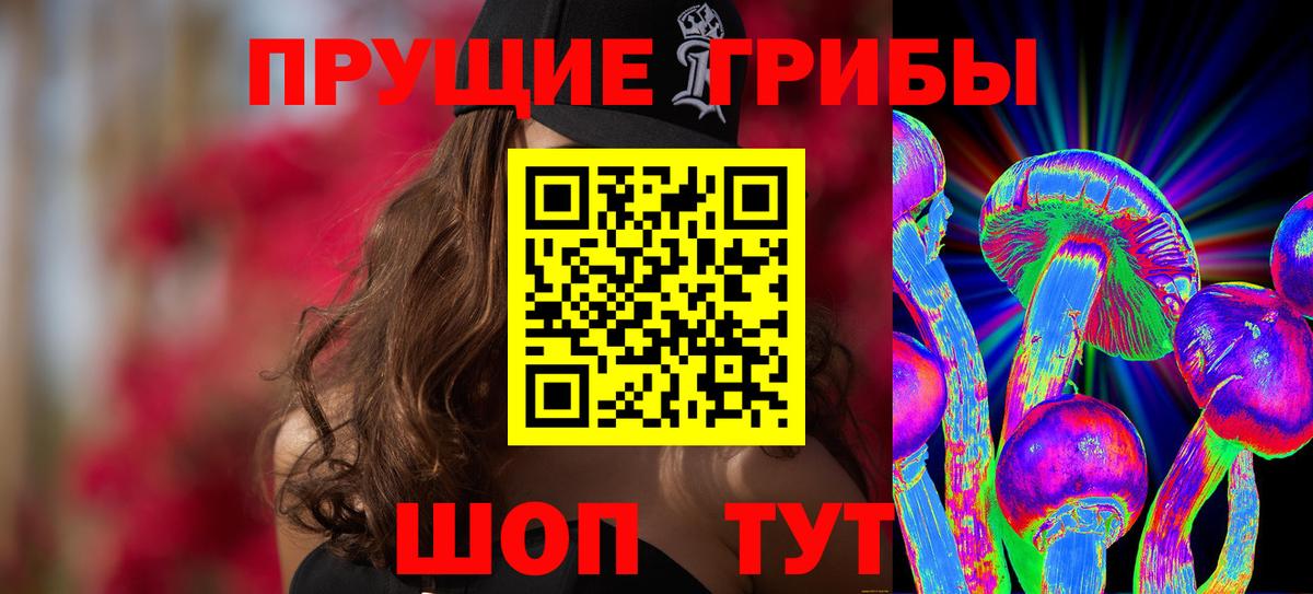 Киров  Псилоцибиновые грибы мицелий  Галлюциногенные грибы прущие грибы  наркота  Вход с VPN 
